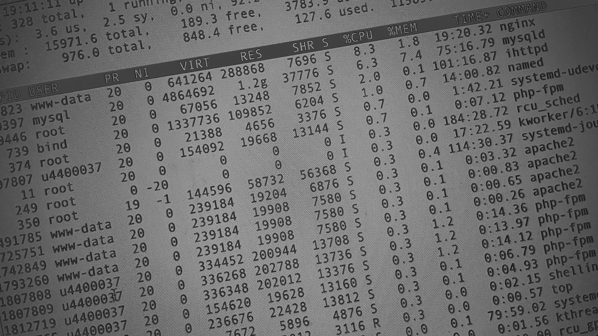 Настройка сервера в Белоярском